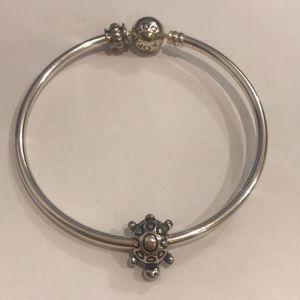 Pandora Turtle Charm